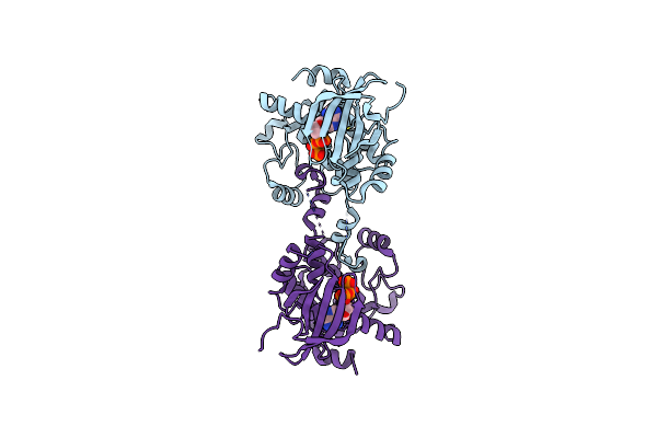 5DBX image
