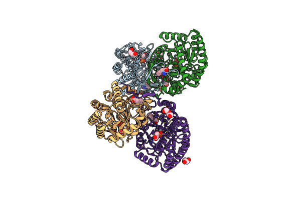 5DCB image
