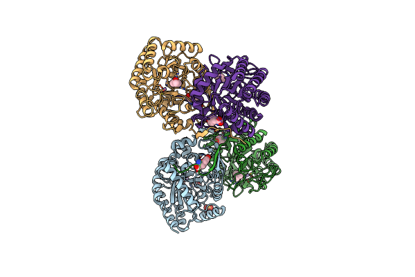 5DCD image