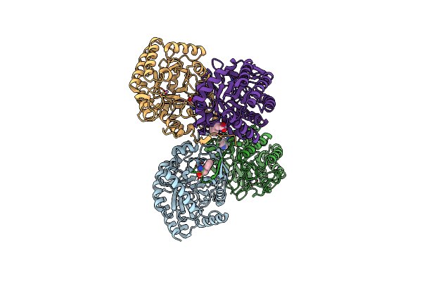 5DCE image