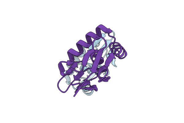 5DCM image