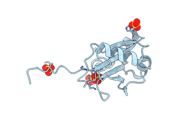 5DCN image