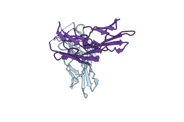 5DCP image