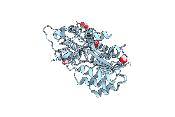 5DCW image