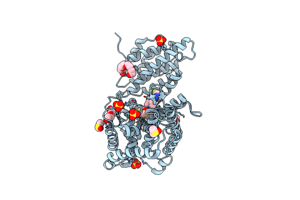 5DDB image