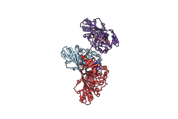 5DDI image
