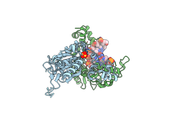 5DDM image