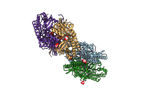 5DDU image