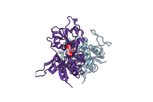 5DEX image