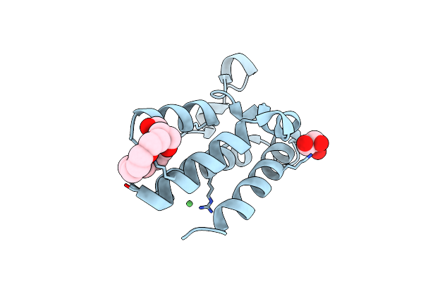 5DFB image
