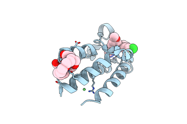 5DFC image