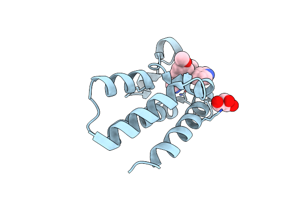 5DFD image