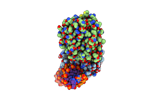 5DFF image