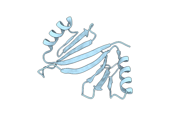 5DFG image