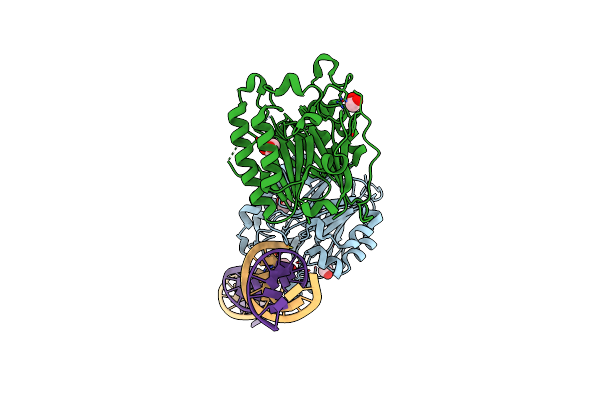 5DFI image