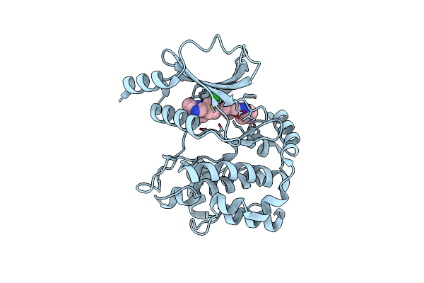 5DFP image