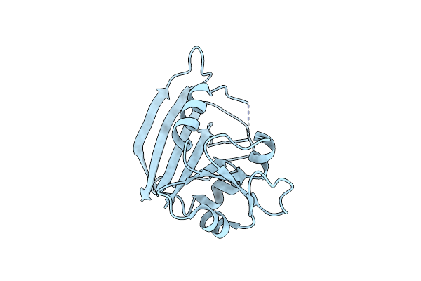 5DFR image