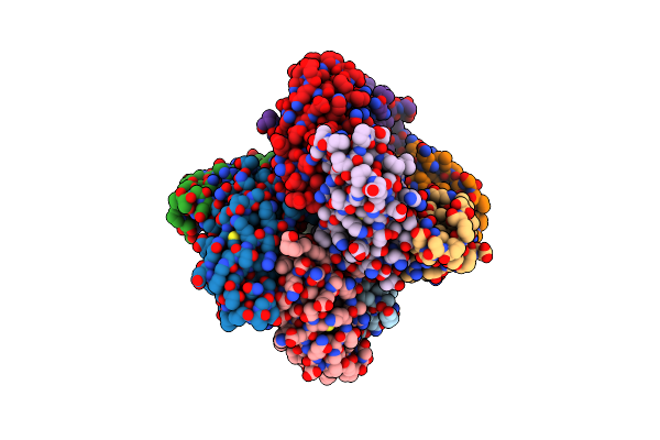 5DFT image