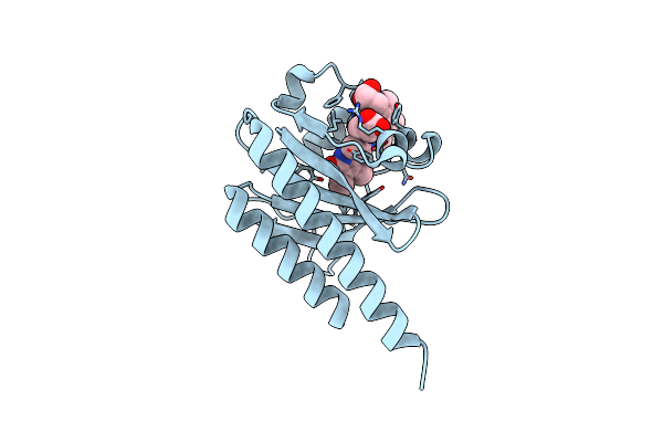 5DFX image