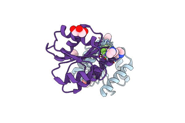 5DGC image