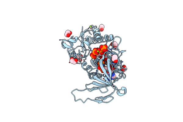 5DGH image