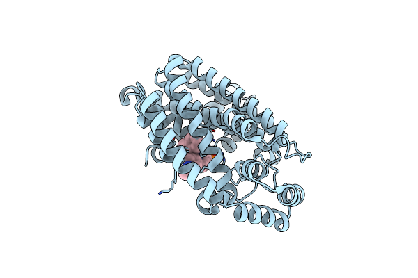 5DGS image