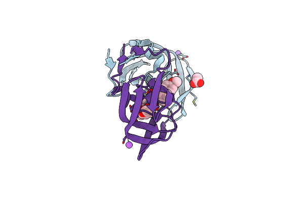 5DGU image