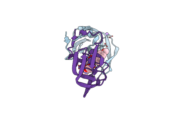 5DGW image