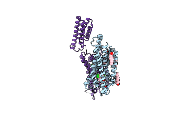 5DHH image