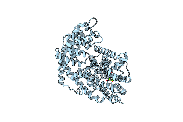 5DHI image