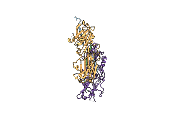 5DHM image