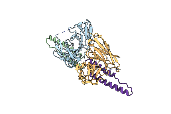 5DHX image