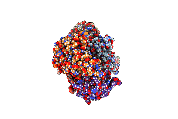 5DII image
