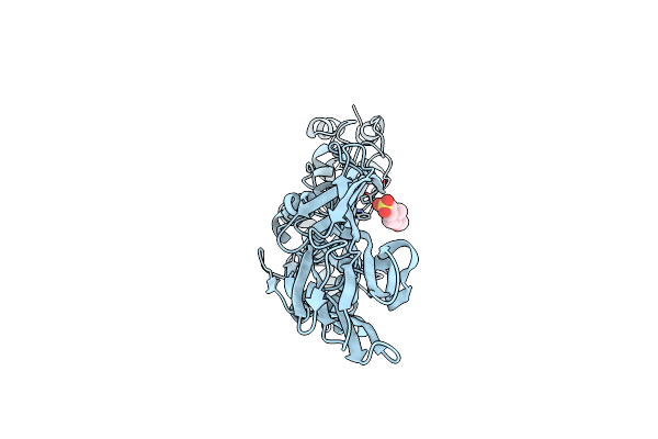 5DIM image
