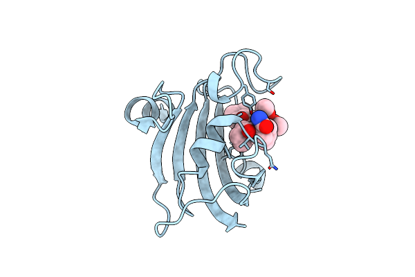 5DIV image