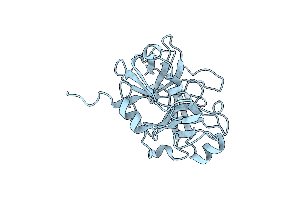 5DJ7 image