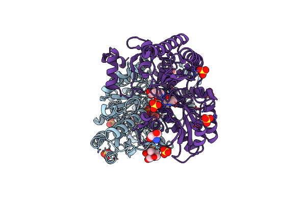 5DJ9 image