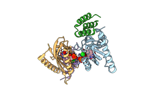 5DJU image