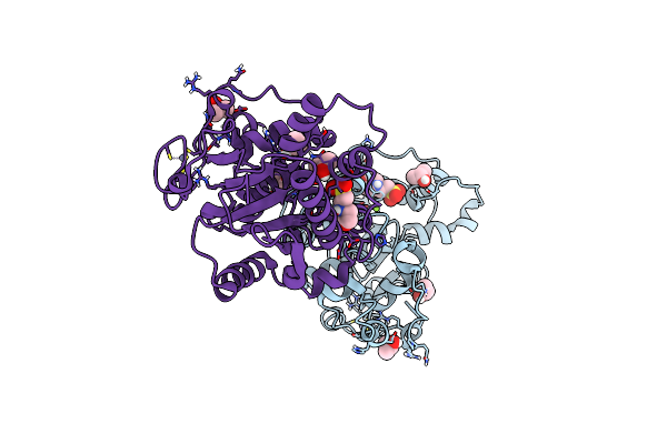 5DK5 image