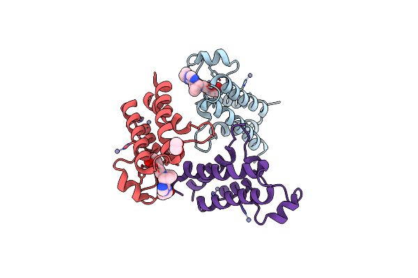 5DKH image