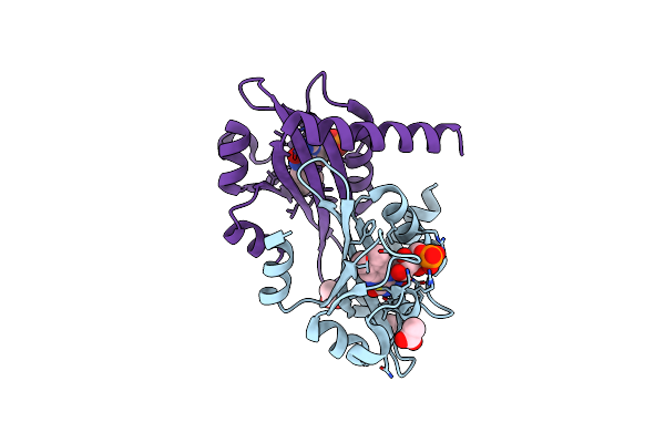 5DKK image