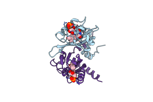 5DKL image