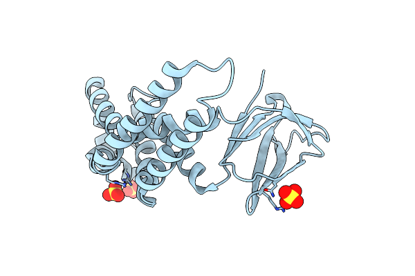 5DKO image
