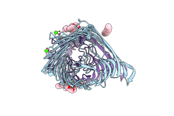 5DL8 image