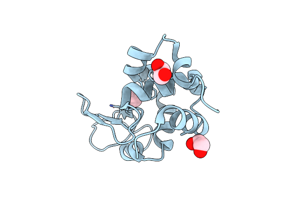 5DLA image