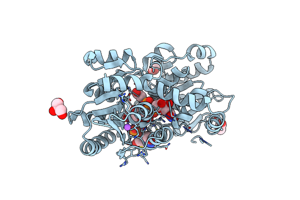 5DLD image