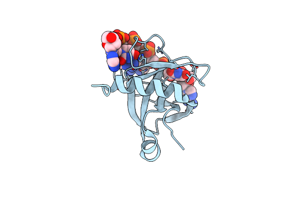 5DLO image