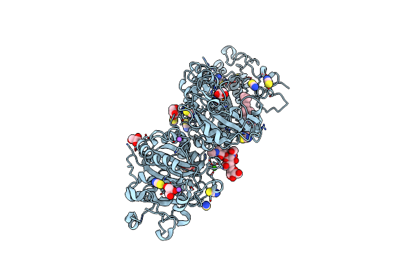 5DLT image