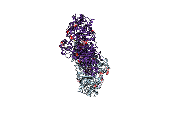 5DLV image