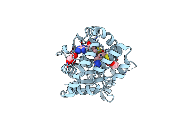5DM1 image